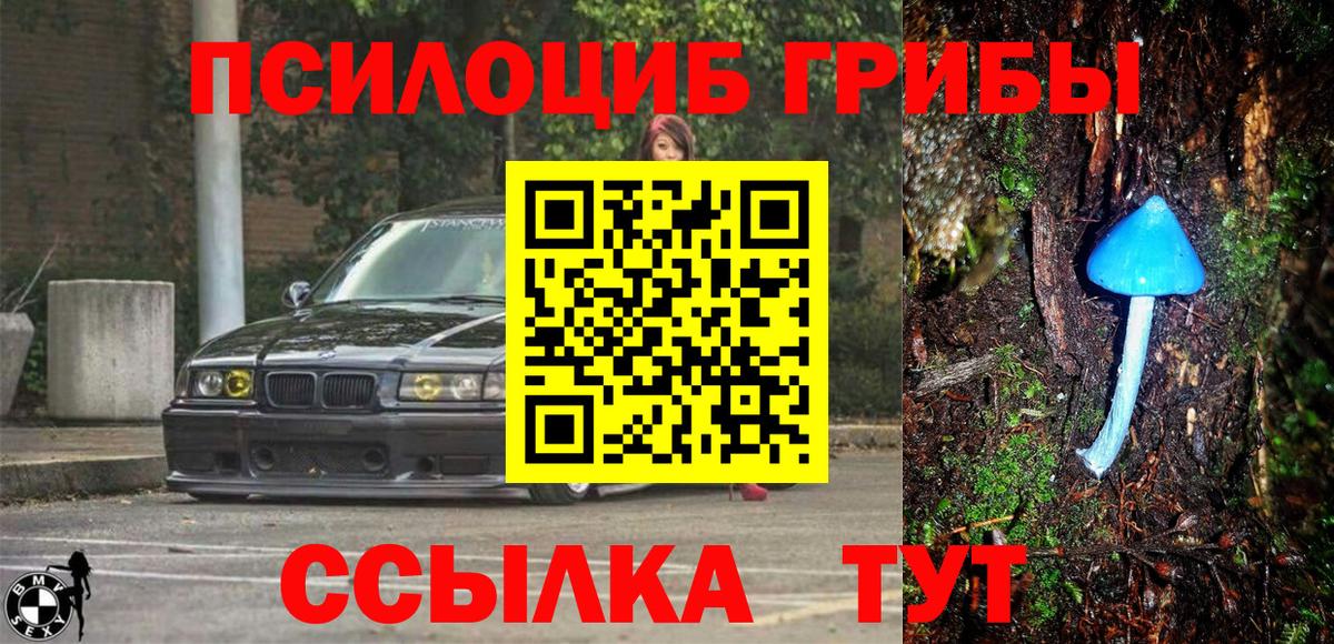 Галлюциногенные грибы мицелий  Вход с VPN  Петропавловск-Камчатский 
